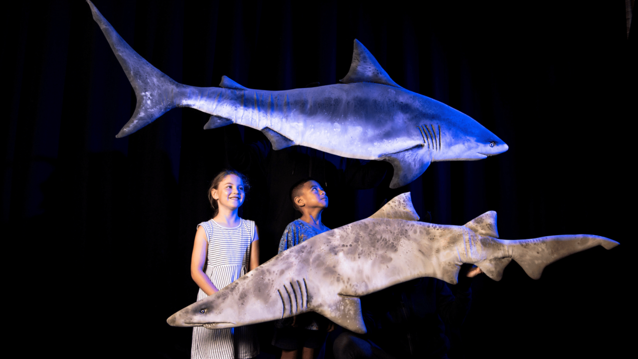 Kids and shark puppets at the Australian Maritime Museum Guruwin