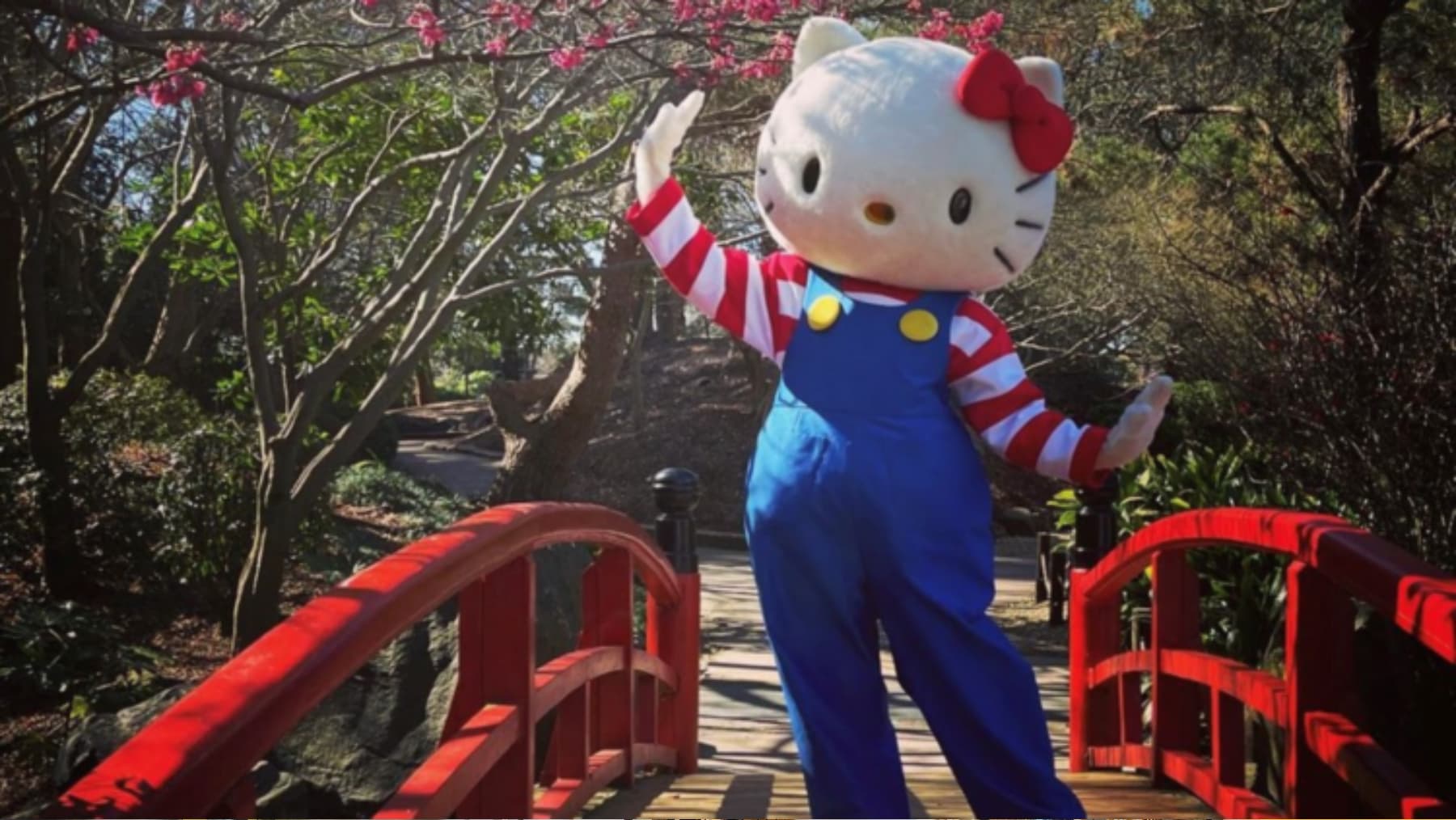 Hello Kitty celebrates her birthday the Sydney Cherry Blossom Festival