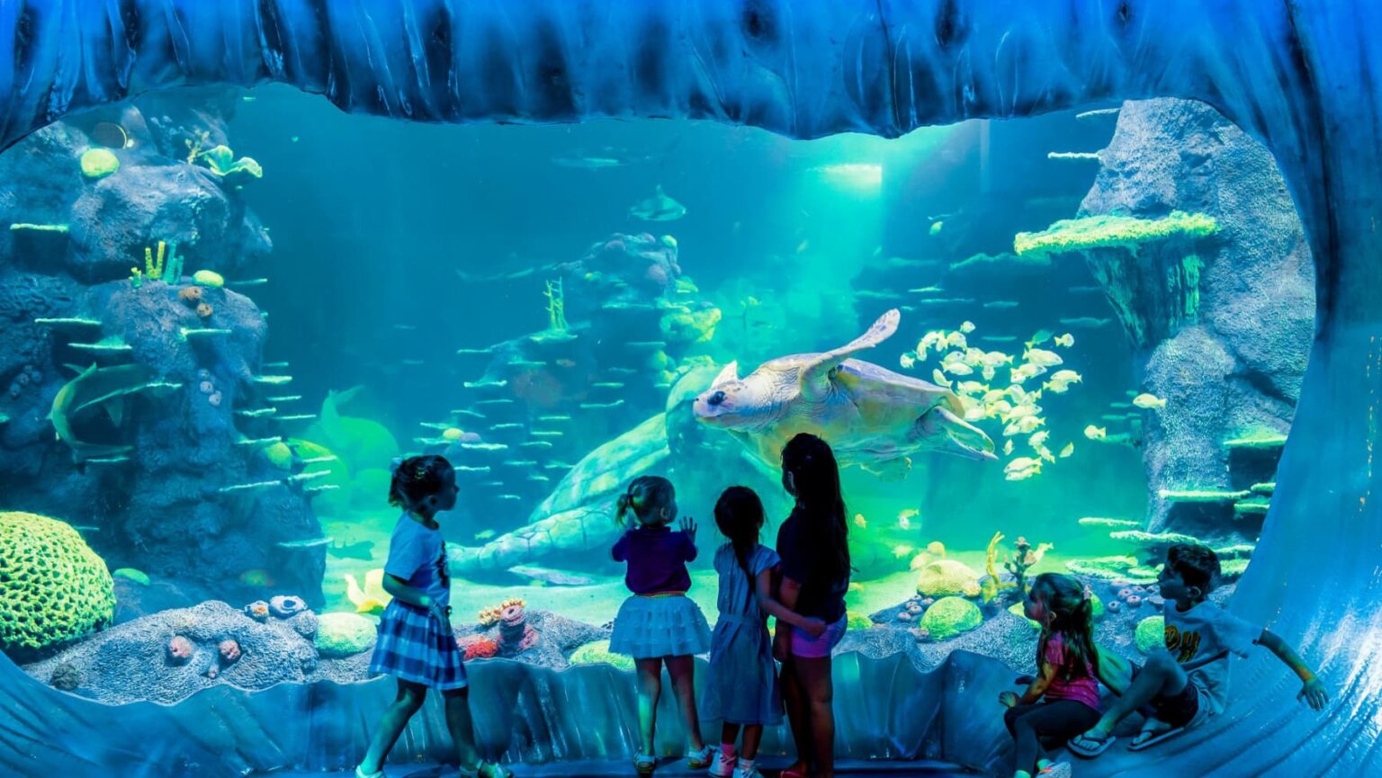 30 Best School Holidays Activities in Sydney for kids in Spring 2024