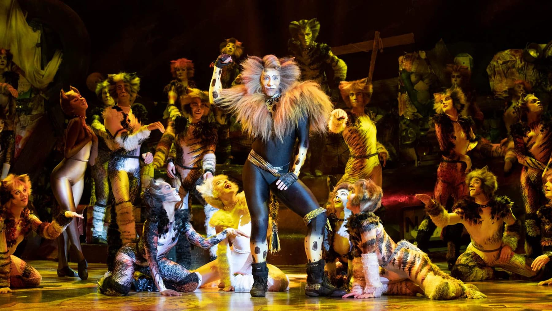 Cats the musical