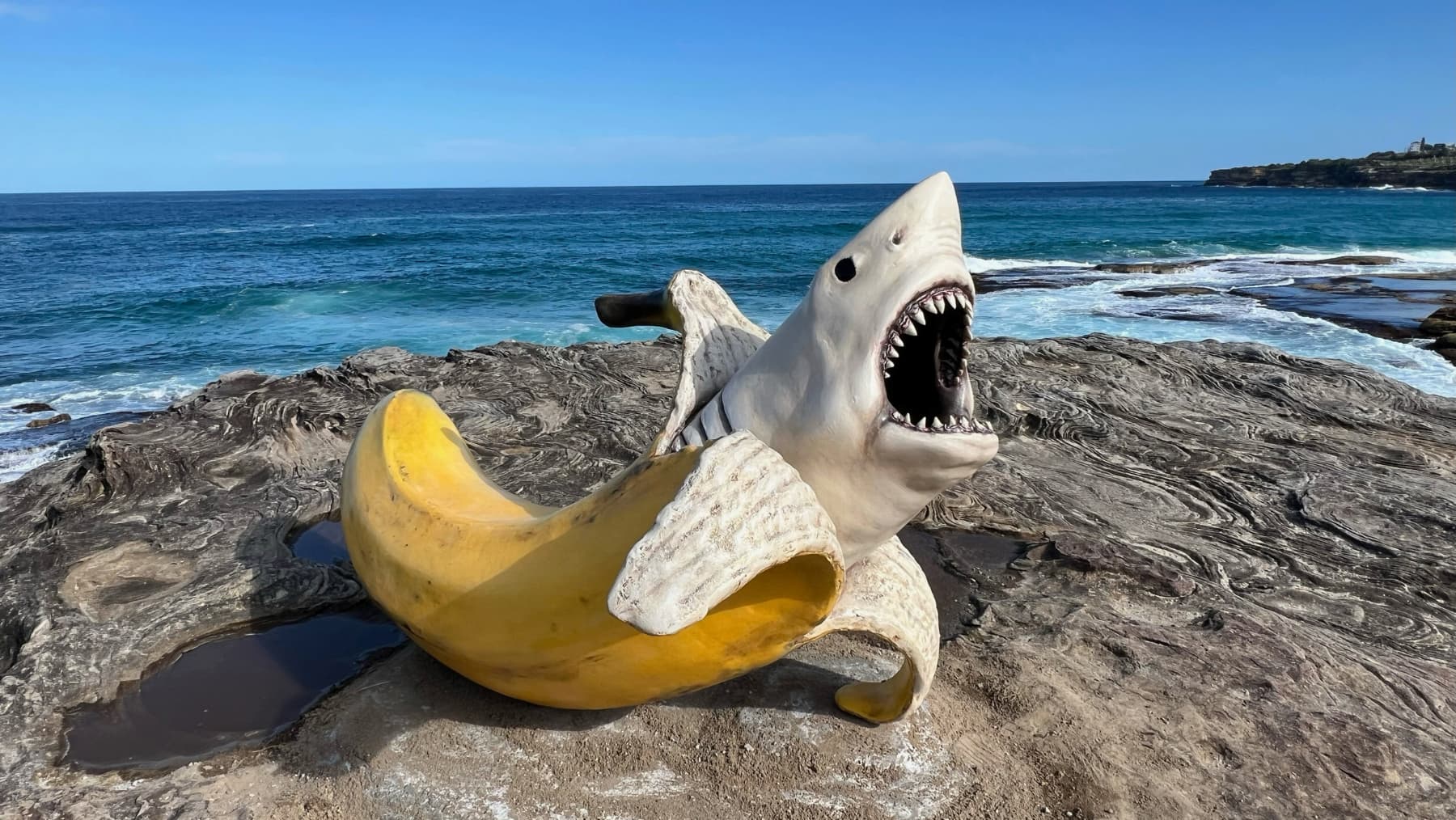 Sculpture by the Sea has kicked off for another year