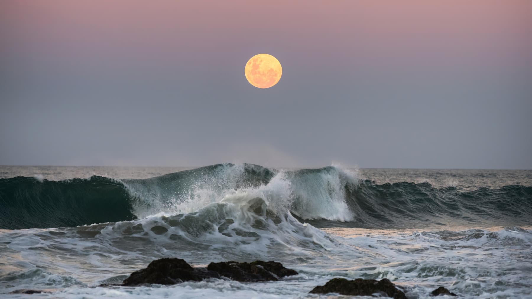 The Hunter's Moon is coming to Sydney