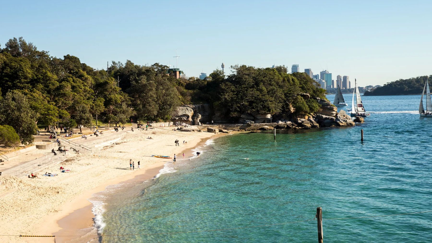 Shark Beach in Sydney's Eastern Suburbs