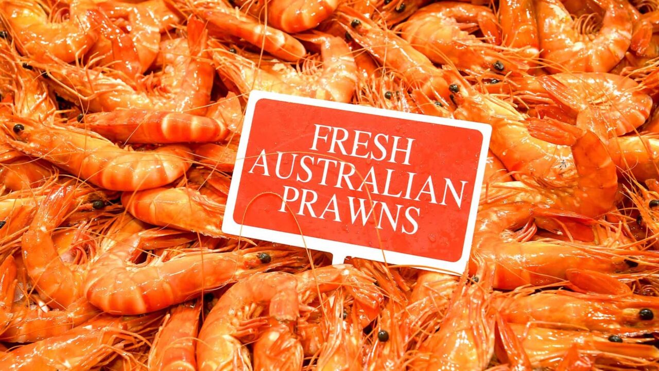 Prawns at the Sydney Seafood Market